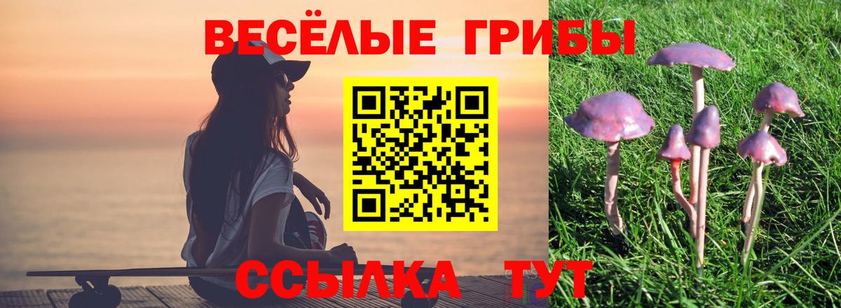 Урай  Псилоцибиновые грибы MAGIC MUSHROOMS  где можно купить наркотик  Вход с VPN 